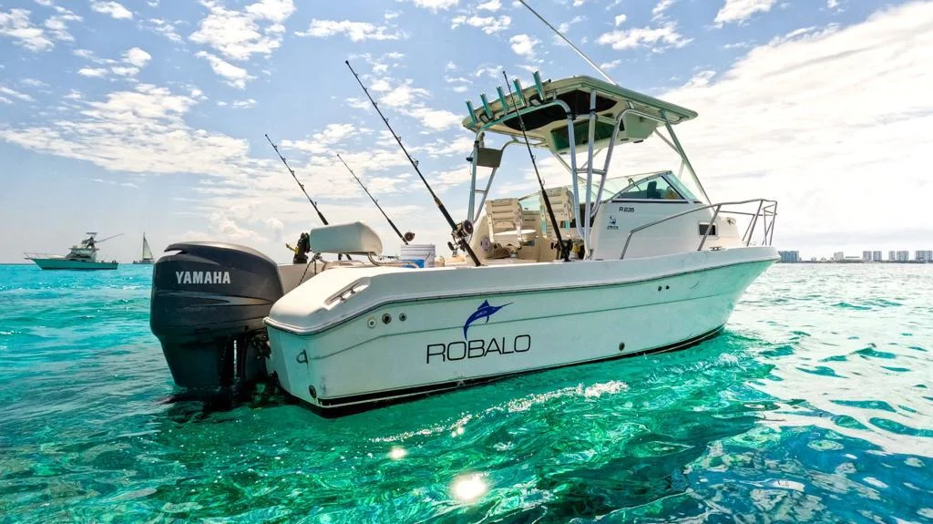 Charter 26 Ft, photo 3