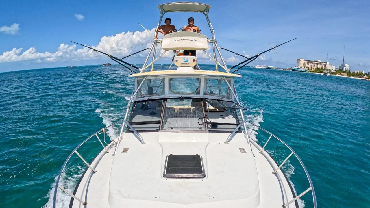 Bertram 35 ft, photo 4