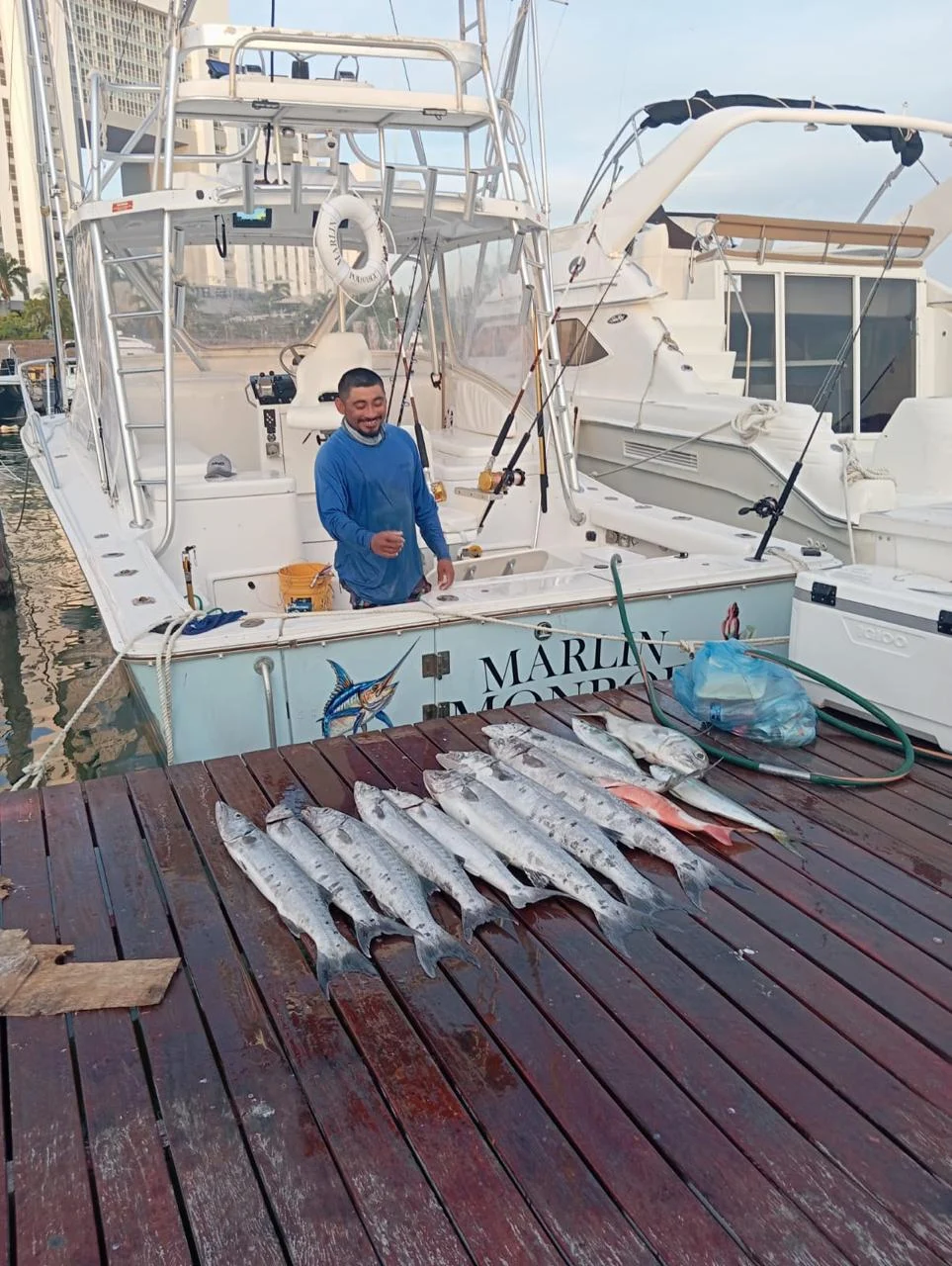 Bertram 32 ft, photo 9