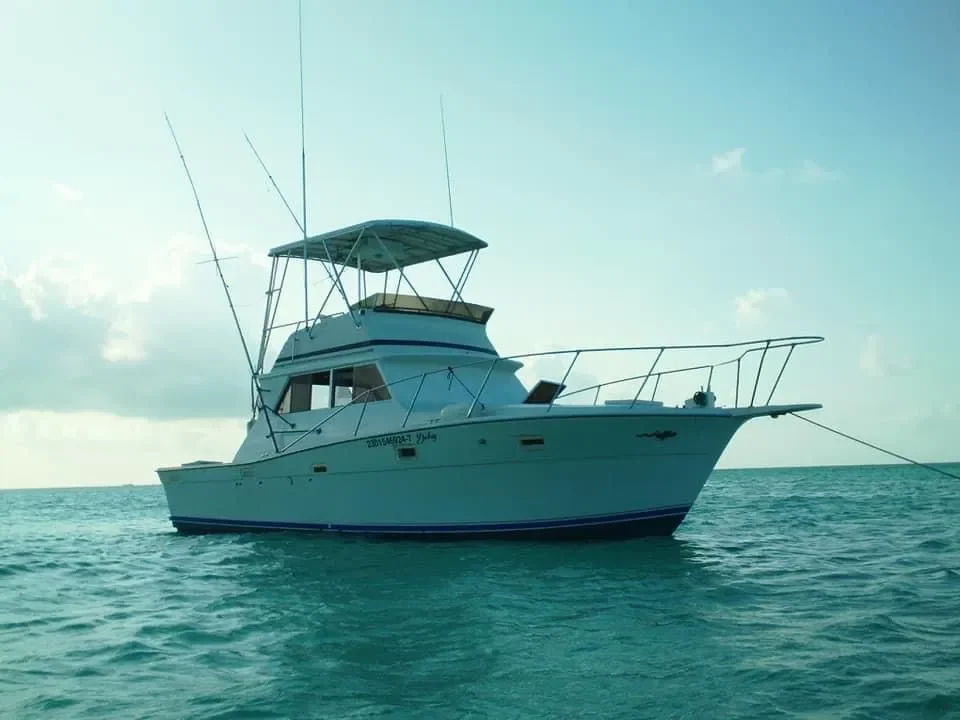 Viking 35 Ft, photo 1