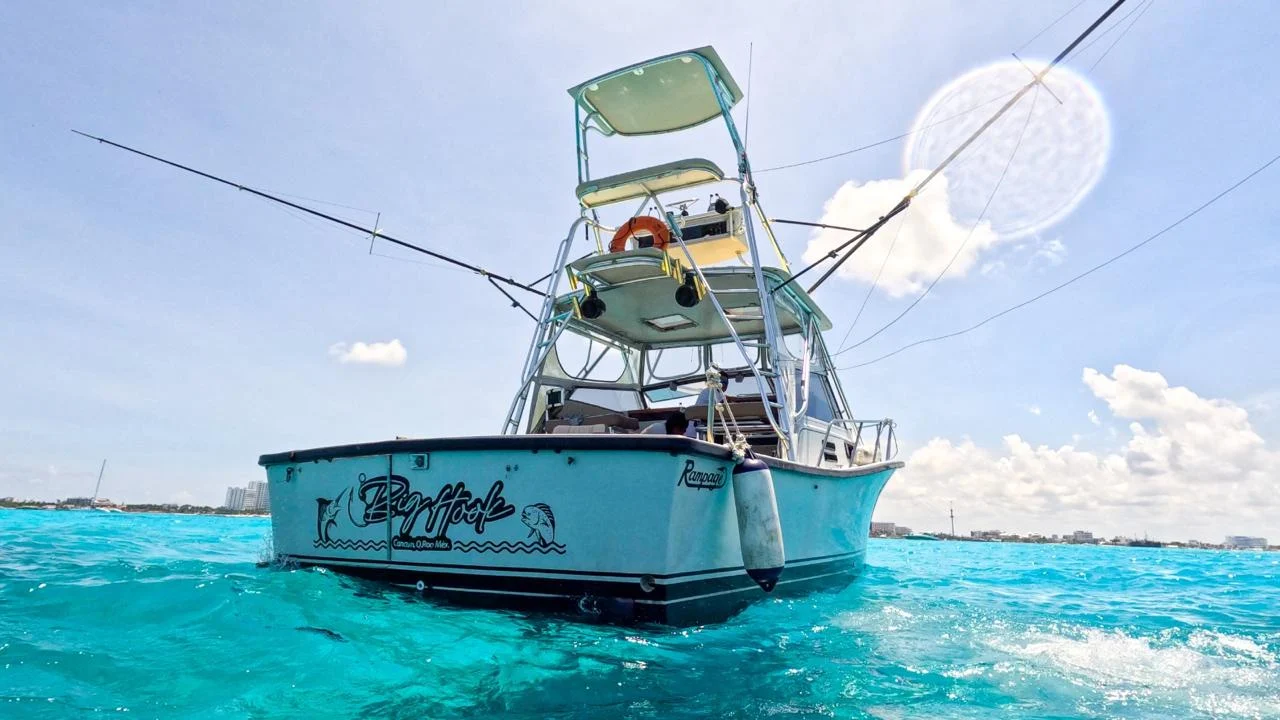 Bertram 35 ft, photo 7