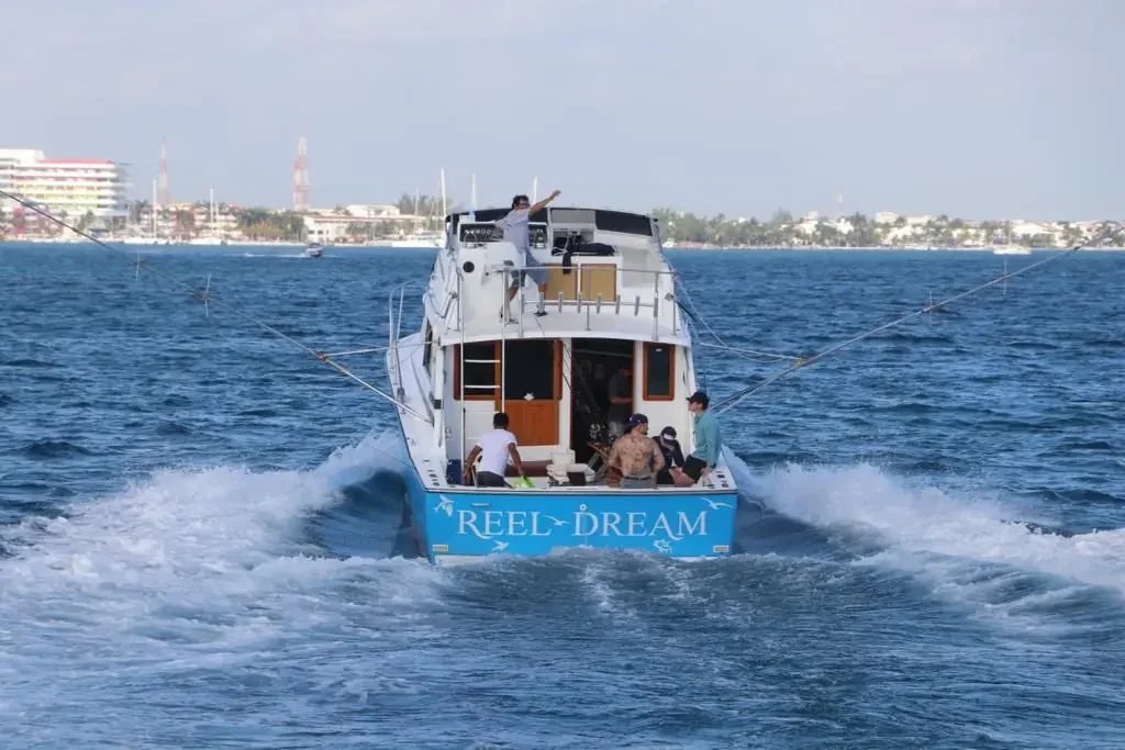 Bertram 40 Ft, photo 9